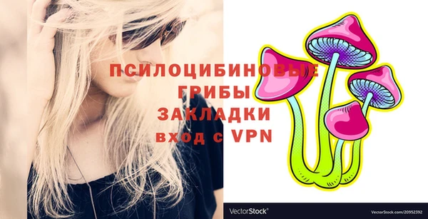 а пвп мука Дмитриев