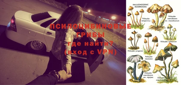 а пвп мука Дмитриев