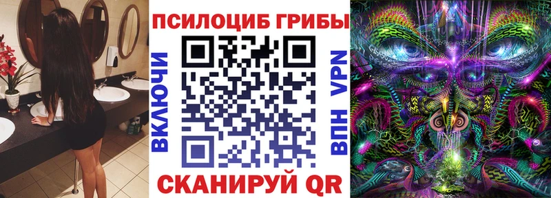 Купить где  Кизел  Псилоцибиновые грибы Magic Shrooms 